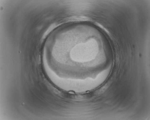 X0000079341459200612082012