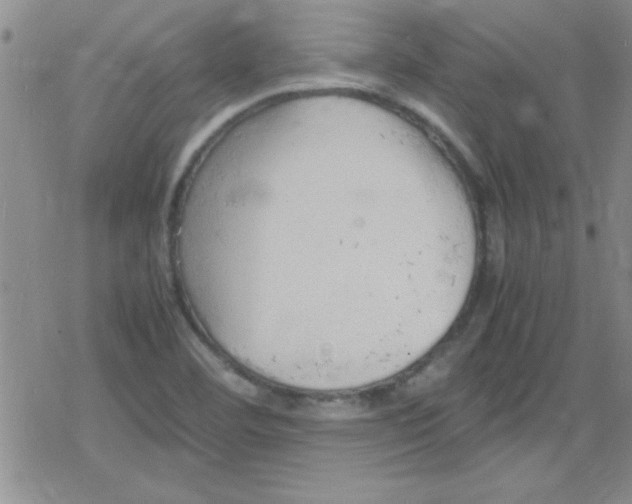 X0000079341460200612082012