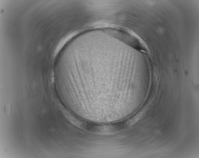 X0000079341461200612082012