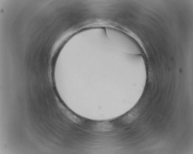 X0000079341464200612082012