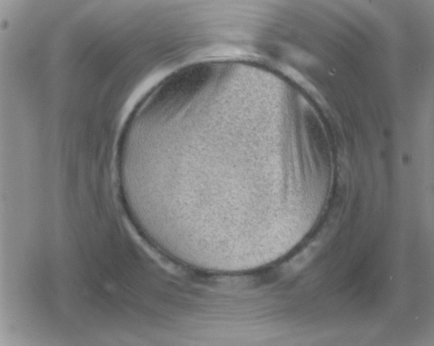 X0000079341469200612082012