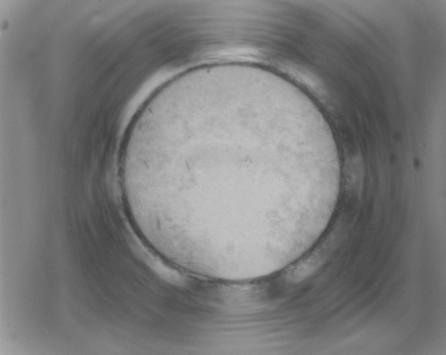 X0000079341470200612082012