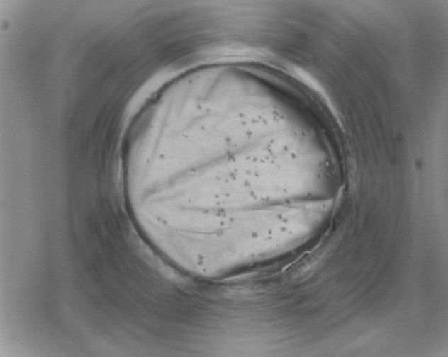 X0000079341472200612082012