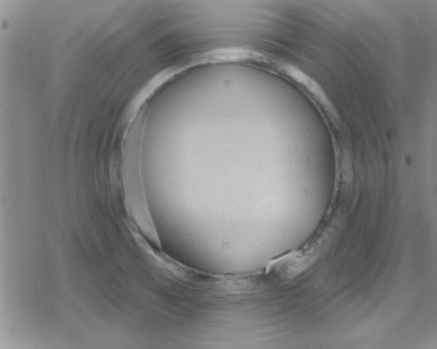 X0000079341473200612082012