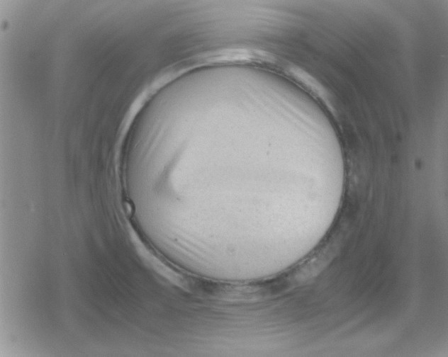 X0000079341475200612082012