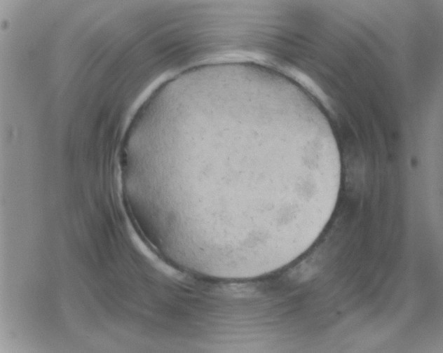 X0000079341476200612082012