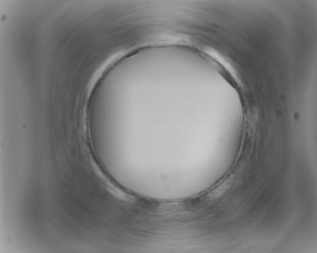 X0000079341477200612082012