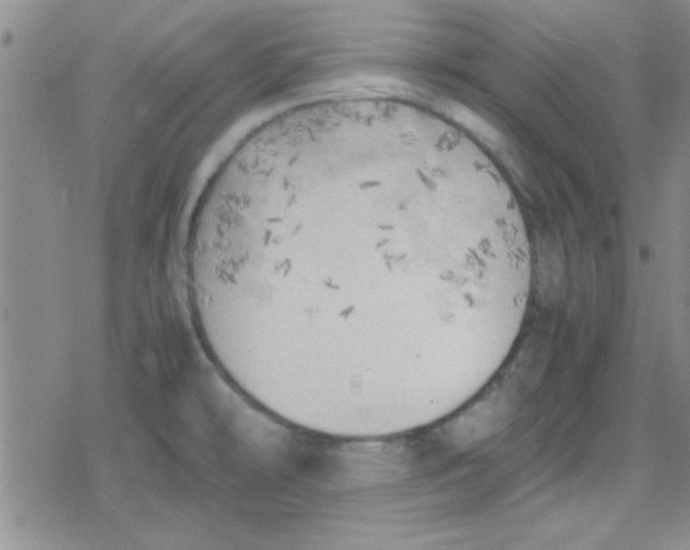 X0000079341478200612082012