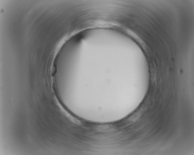 X0000079341479200612082012