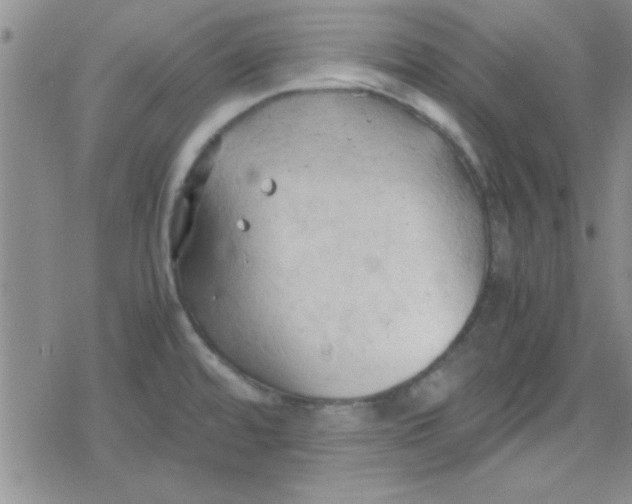 X0000079341480200612082012