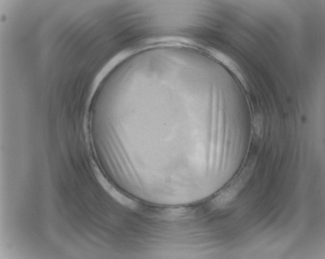 X0000079341482200612082012