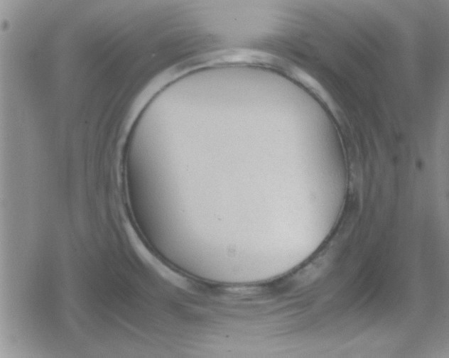 X0000079341483200612082012