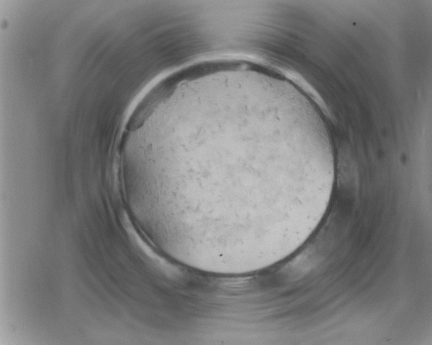 X0000079341484200612082012