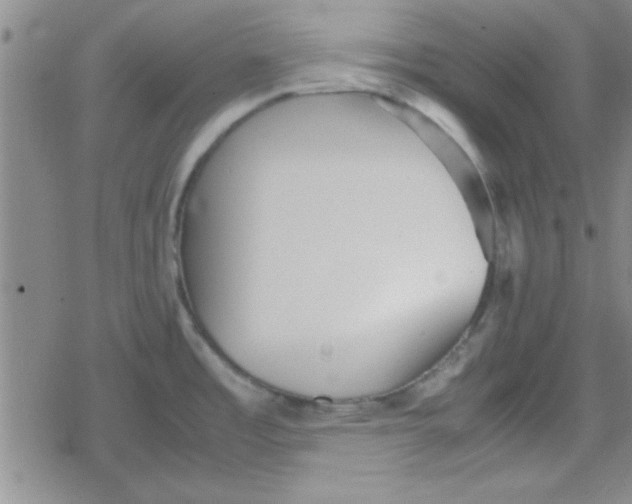 X0000079341485200612082012