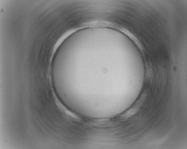 X0000079341486200612082012