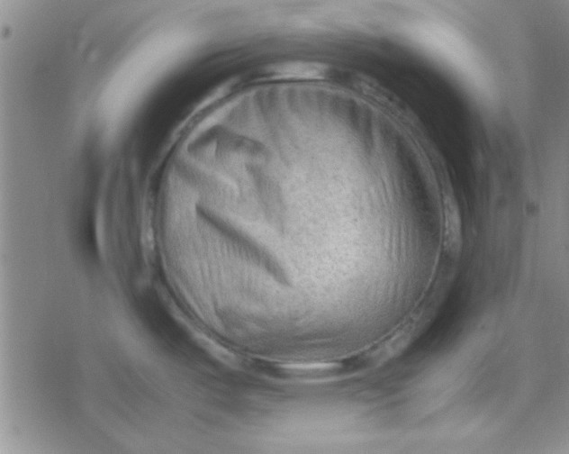 X0000079341487200612082012