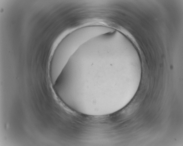 X0000079341488200612082012