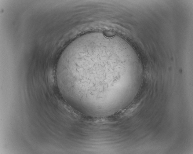 X0000079341490200612082011