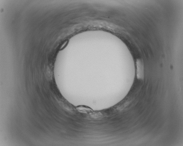 X0000079341491200612082011