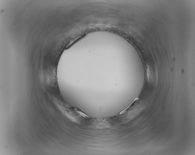 X0000079341492200612082011