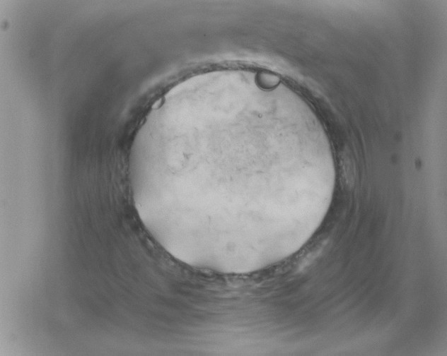 X0000079341494200612082011