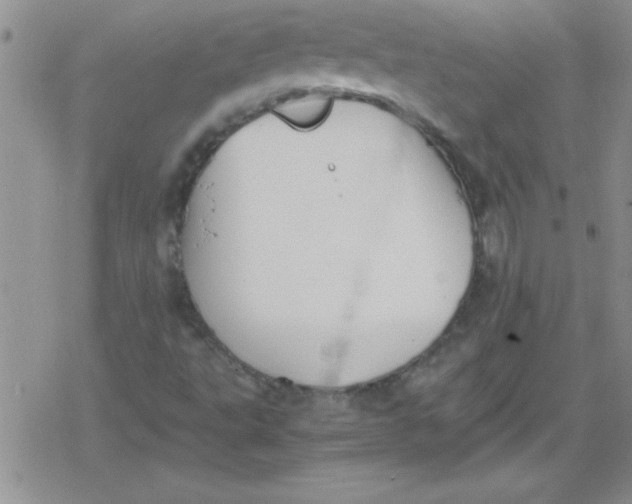 X0000079341495200612082011