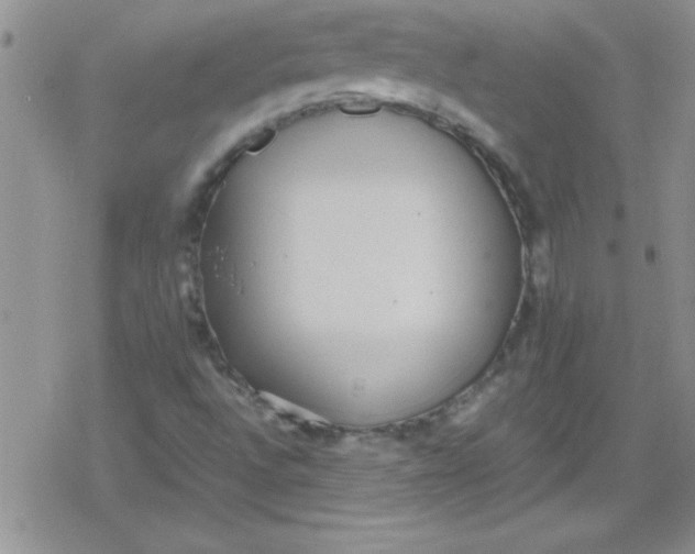 X0000079341496200612082011