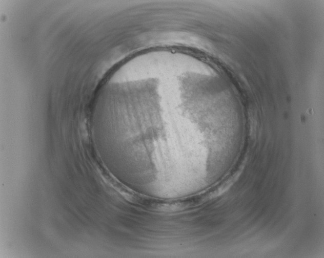 X0000079341497200612082011