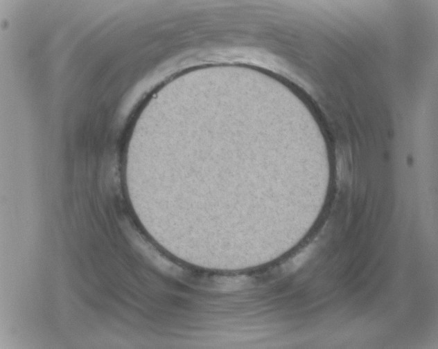 X0000079341498200612082011