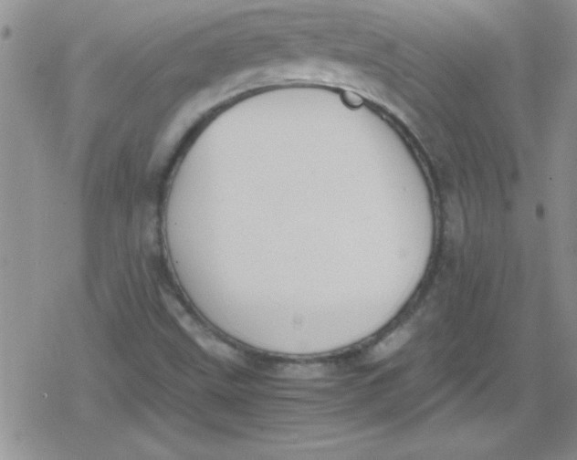 X0000079341499200612082011