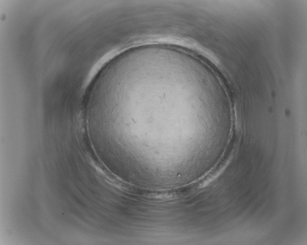 X0000079341501200612082011