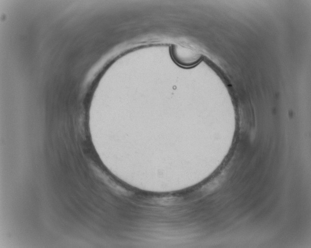 X0000079341502200612082011