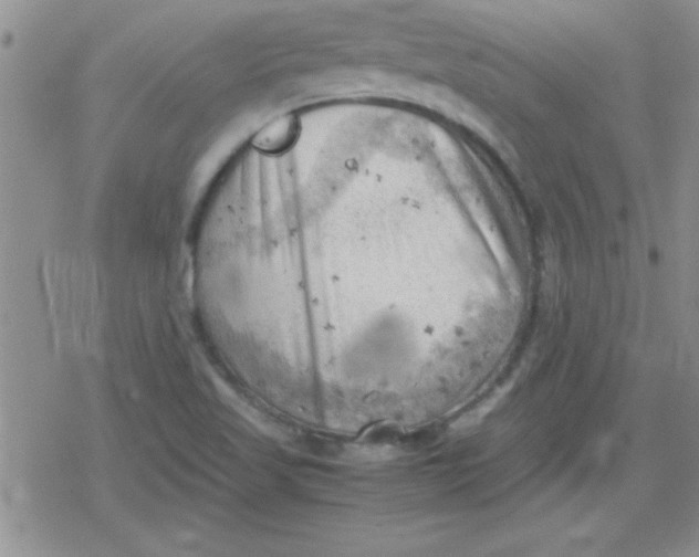 X0000079341509200612082011