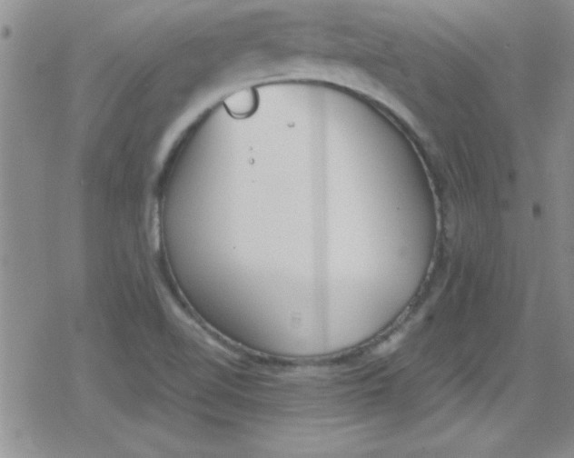 X0000079341510200612082011