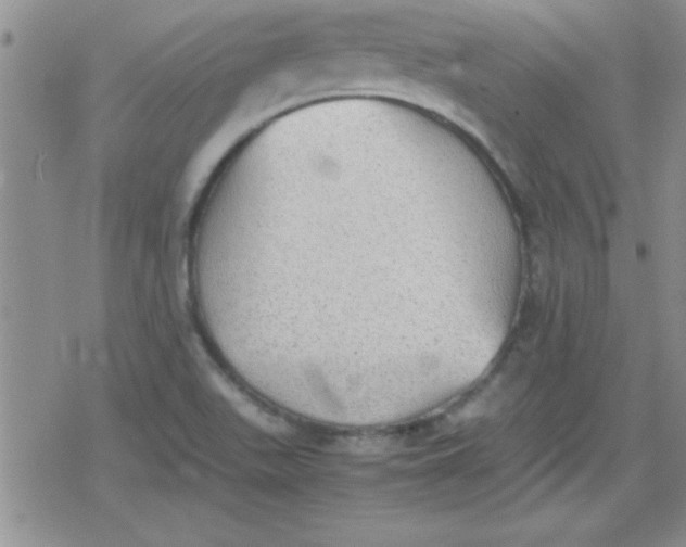 X0000079341511200612082011