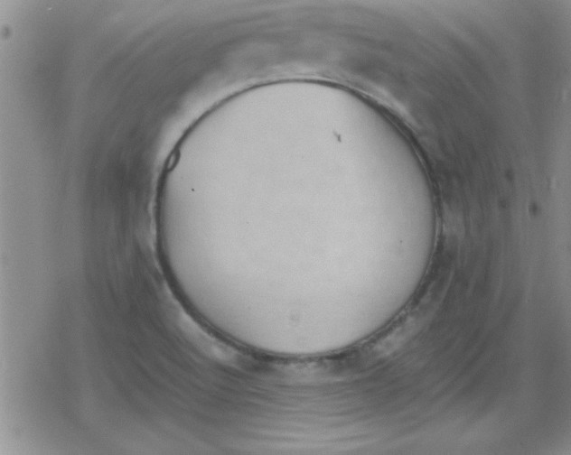 X0000079341512200612082011