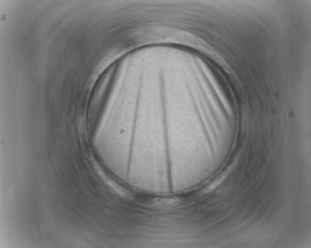 X0000079341513200612082011