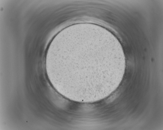 X0000079341514200612082011