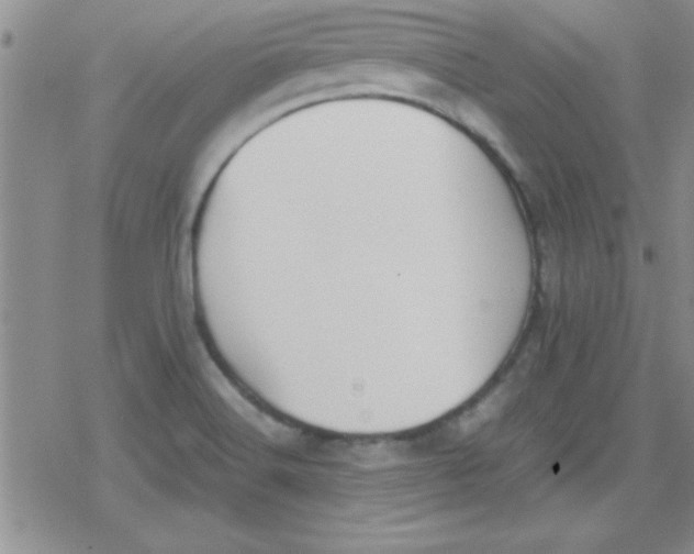 X0000079341516200612082011