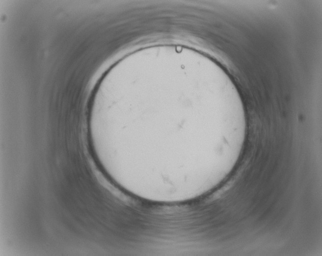 X0000079341518200612082011