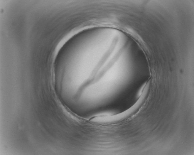 X0000079341520200612082011