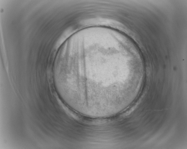 X0000079341521200612082011