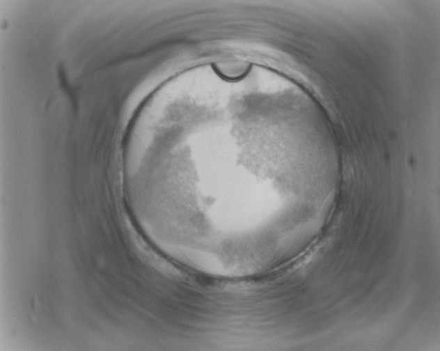 X0000079341522200612082011