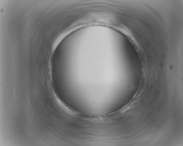 X0000079341524200612082011