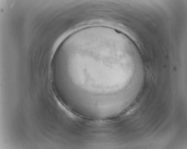 X0000079341527200612082011