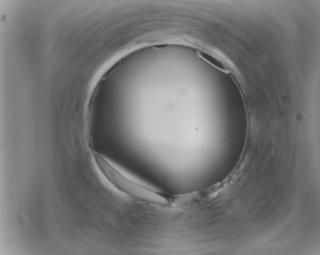 X0000079341528200612082011