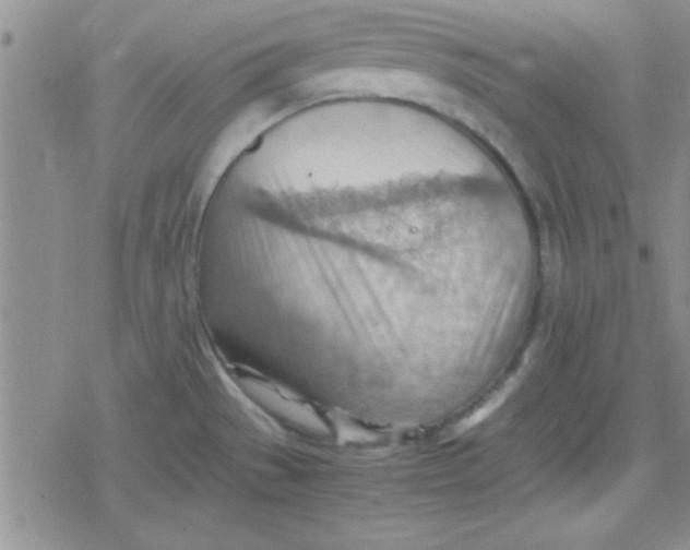 X0000079341529200612082011