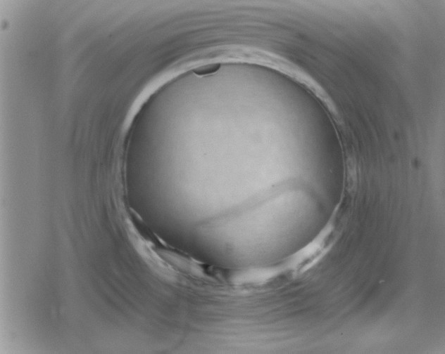 X0000079341530200612082011