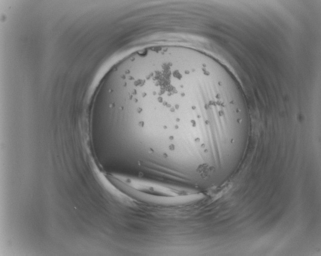 X0000079341531200612082011