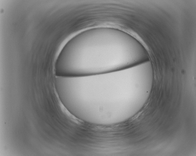 X0000079341532200612082011